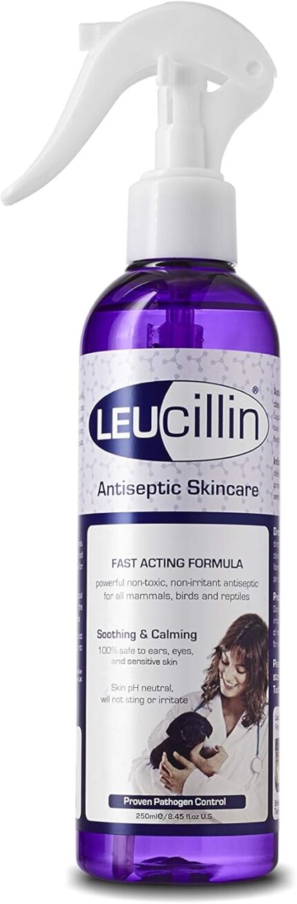 Leucillin Natural Antiseptic Spray - Antibacterial Antifungal Antiviral for Dogs Cats All Animals Itchy Skin Minor Wound Care and Skin Health | 250ml