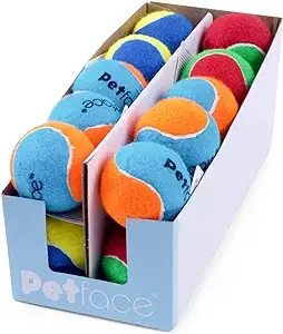 Petface Squeaky Tennis Balls