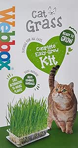 Webbox Cat Grass Kit
